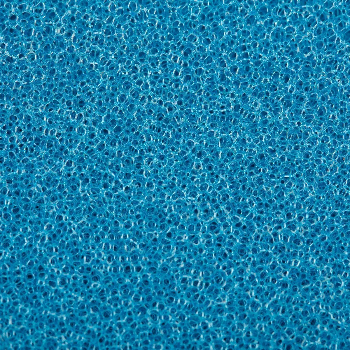 BAUER 7 in. Coarse Foam Polishing Pad - Blue 6 BAUER 7 in. Coarse Foam Polishing Pad - Blue - Image 6